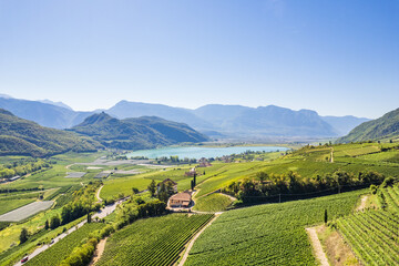 Weinberglandschaft rund um den Kalterer See im Süden Südtirols