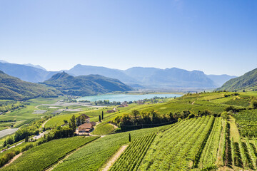 Weinberglandschaft rund um den Kalterer See im S&uuml;den S&uuml;dtirols
