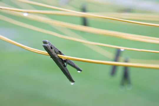 Wet clothes pins on clothes lines.