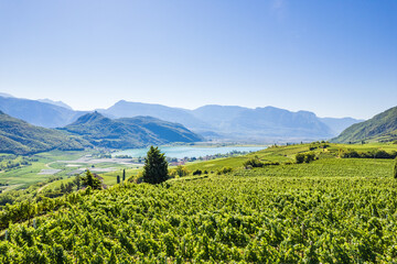 Weinberglandschaft rund um den Kalterer See im S&uuml;den S&uuml;dtirols