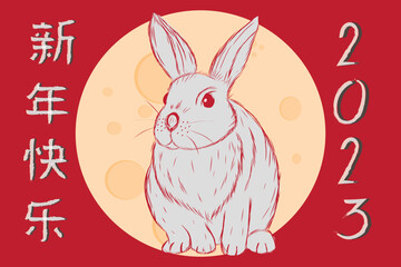 Illustration Chinese character and rabbit on the moon background