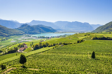 Weinberglandschaft rund um den Kalterer See im S&uuml;den S&uuml;dtirols
