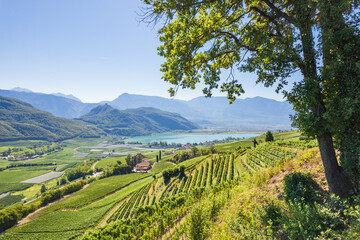 Weinberglandschaft rund um den Kalterer See im S&uuml;den S&uuml;dtirols