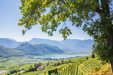 Weinberglandschaft rund um den Kalterer See im S&uuml;den S&uuml;dtirols
