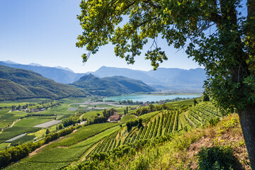 Weinberglandschaft rund um den Kalterer See im S&uuml;den S&uuml;dtirols