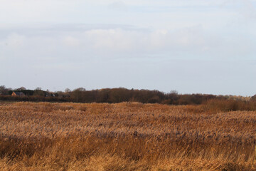 A beautiful winter landscape shot taken at Lunt Nature Reserve in Merseyside. These photos were taken on a cold December afternoon.