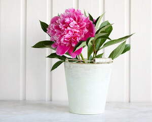 pink peony flower in a decorative bucket