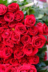 bunch of roses for valentine's day