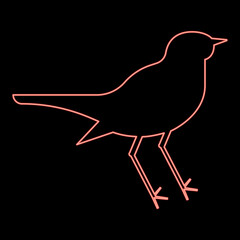 Neon nightingale Luscinia Bird silhouette icon black color vector illustration flat style image red color vector illustration image flat style