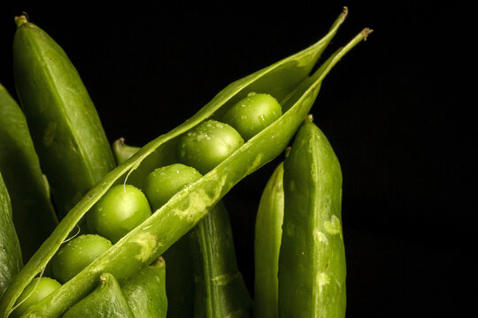 Pot with pea pods in studio