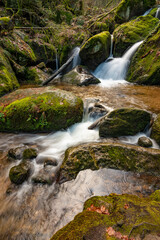 A small waterhole with an incoming small waterfall in the Black Forest near Gertelbach amidst...