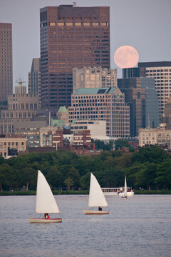 Sailboats with a city at the waterfront, Charles River, Back Bay, Boston, Massachusetts, USA