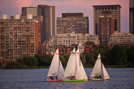 Sailboats with a city at the waterfront, Charles River, Back Bay, Boston, Massachusetts, USA