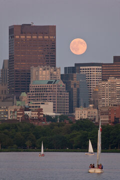 Sailboats with a city at the waterfront, Charles River, Back Bay, Boston, Massachusetts, USA