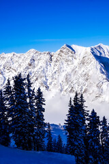 Obraz premium Cottonwood Canyon