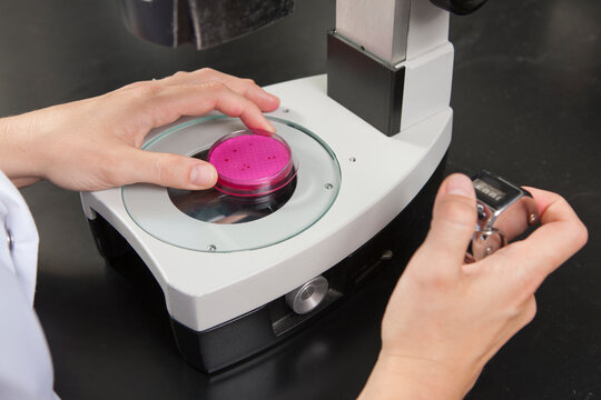 Laboratory scientist using microscope to examine bacterial culture in water treatment lab with counter