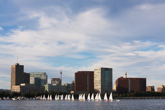 Sailboats in a river, Massachusetts Institute of Technology, Charles River, Boston, Massachusetts, USA