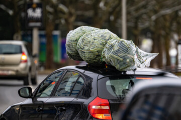 Weihnachtsbaum der auf dem Autodach transportiert wird