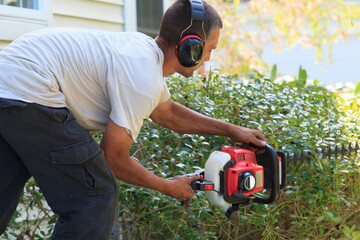 Landscaper trimming bushes with an electric trimmer