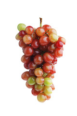 Fresh sweet ripe grape branch