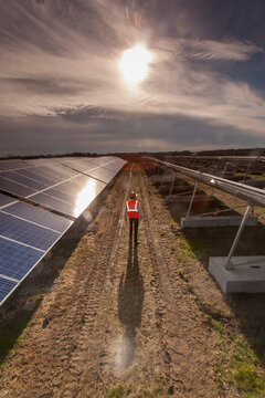Power engineer at solar photovoltaic array