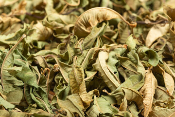 Dried Melissa officinalis leaves