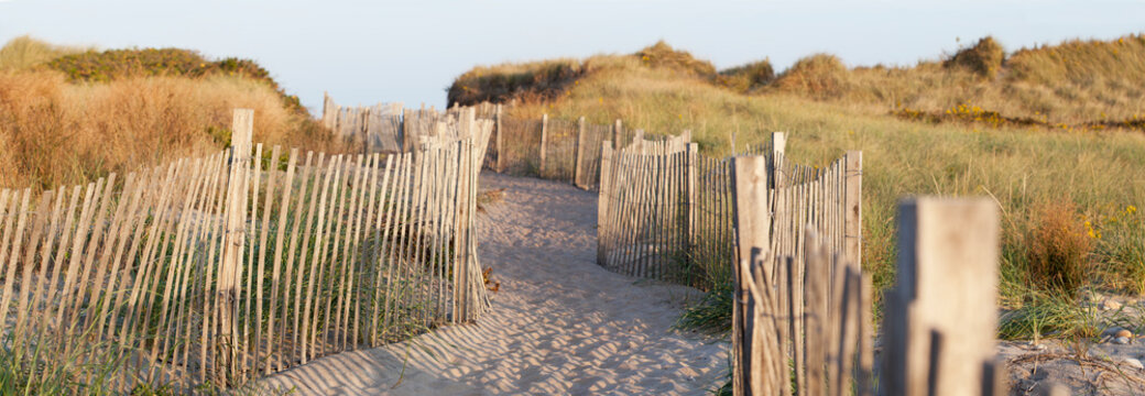 Sand fence at Fred Benson Town Beach, Block Island, Rhode Island, USA