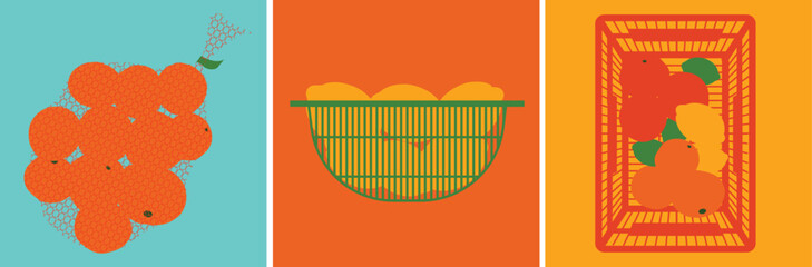 A Set of Four Natural Minimalist Citrus Illustration. Grocery Fruit Illustration Collection. Vector Illustration of Citrus in a Fruitbag, Colander, and Basket.