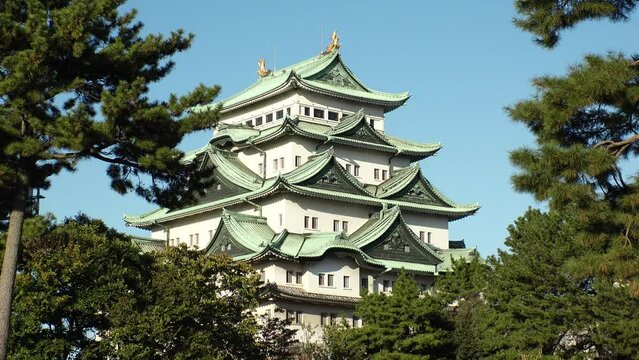 NAOGYA, JAPAN - OCTOBER 2022 : Scenery of Nagoya castle in sunny daytime. Travel, tourism and history concept video.