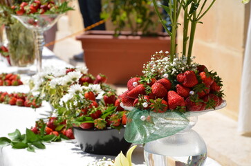 Strawberries and flowers on plates