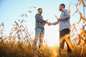 Two farmers standing in a field examining soybean crop before harvesting.