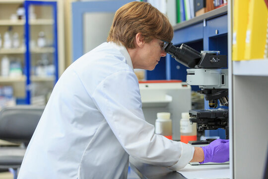 Lab chemist examining a sample slide on a microscope