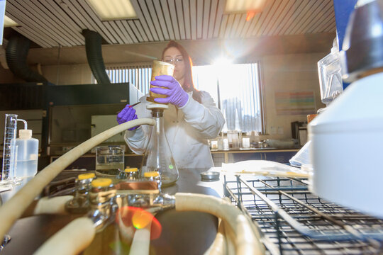 Lab chemist placing paper filter for sample testing