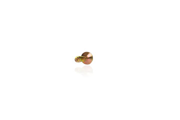 macro screw of golden color on a white background