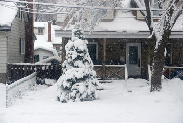House and tree covered with snow