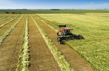 Swather cutting a barley field with graphic harvest lines; Beiseker, Alberta, Canada