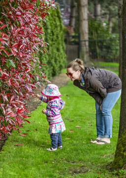 Mother and daughter looking at foliage in the park on an overcast day in spring; Surrey, British Columbia, Canada