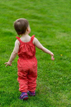 A toddler girl walks on a grass field making cute hand gestures as she explores; Burnable, British Columbia, Canada