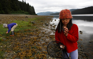 Two girls beach-comb near the water's edge investigating crabs and other sea life at low tide in the intertidal zone of Southeast Alaska; Inside Passage, Alaska, United States of America
