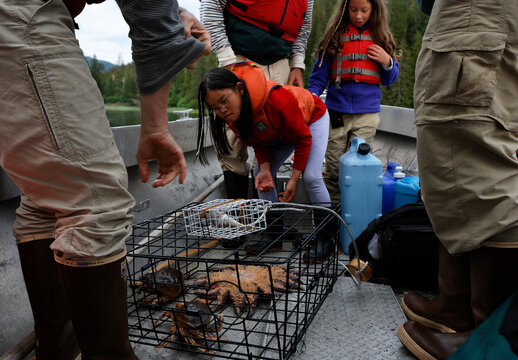 Families investigate a crab pot with a sunstar, Inside Passage, Alaska, USA