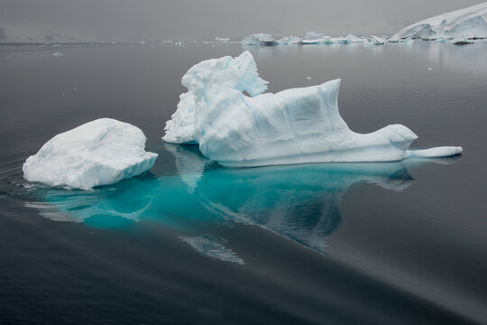 Icebergs floating in Antarctica's Neko Harbour; Antarctica