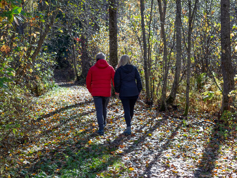 Mature couple holding hands and walking on a forest trail littered with fallen leaves in autumn; Smithers, British Columbia, Canada