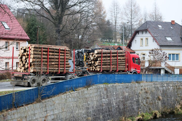 Ciężarówka z przyczepą przewozi drewno z lasu do fabryki.