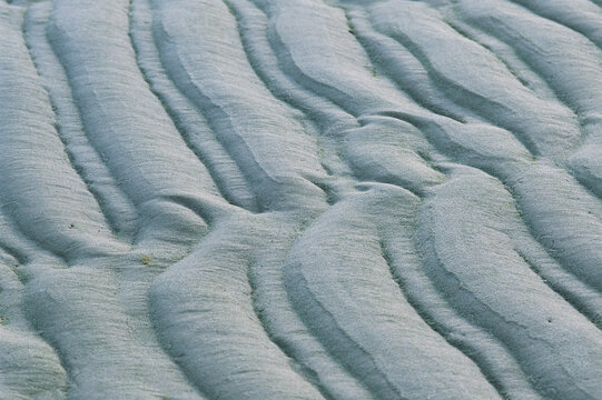 Ripple-patterned tidal flat at low tide.; Brewster, Cape Cod, Massachusetts.