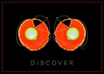 Motivational Art, two ink blot creations in red, green and black with the word 'Discover'; Artwork