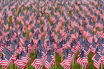 Memorial Day display of 37,000 United States flags commemorating fallen heroes, in our oldest park.; Boston Common, Boston, Massachusetts.