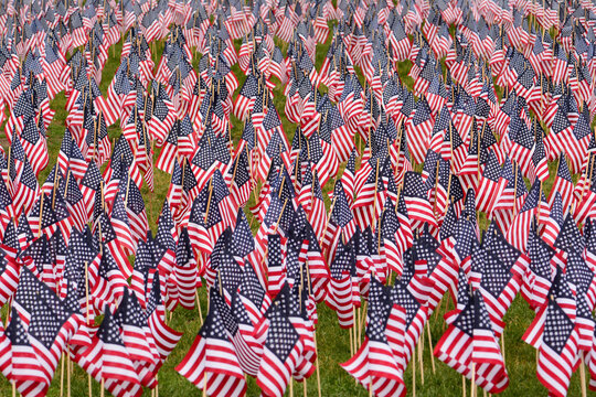 Memorial Day display of 37,000 United States flags commemorating fallen heroes, in our oldest park.; Boston Common, Boston, Massachusetts.