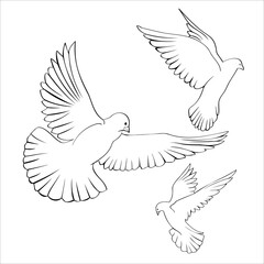 Set of black linear flying, taking off doves, a symbol of peace and a holiday of the world day of peace, a design element for fabric, eggs, wallpapers, cards and patterns
