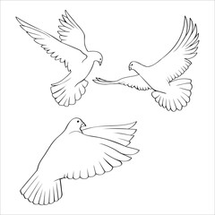 Set of black linear flying, taking off doves, a symbol of peace and a holiday of the world day of peace, a design element for fabric, eggs, wallpapers, cards and patterns