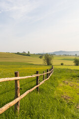 Old wooden fence through green pastures with trees in background
